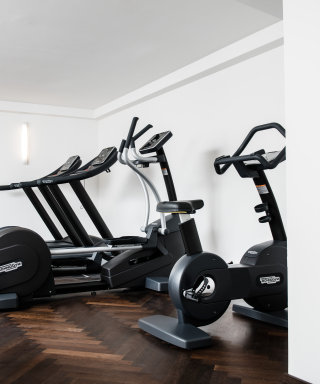 Treadmills, bike and stepper at the Grand Ferdinand fitness area.